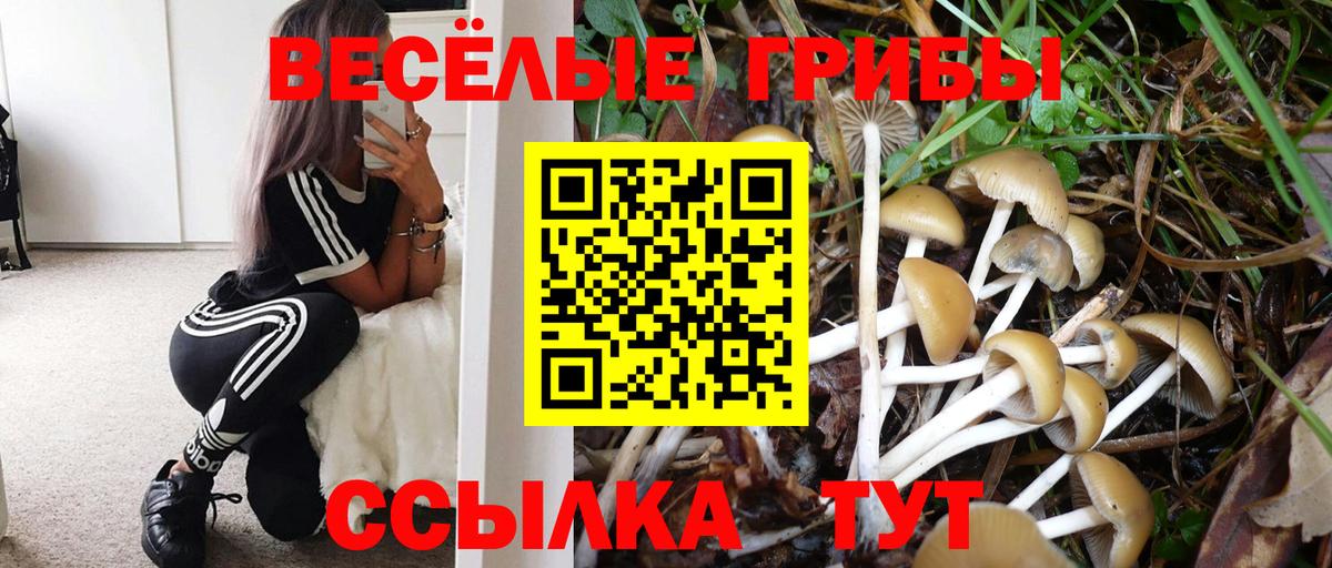 Галлюциногенные грибы MAGIC MUSHROOMS  Вход с VPN  дарнет шоп  Кинешма 