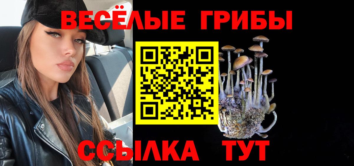 Псилоцибиновые грибы Psilocybe Кинешма